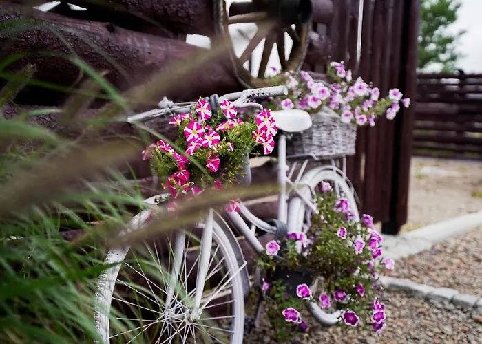 Natura Zator * Graboszyce